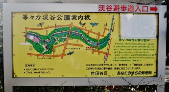 Todoroki Keikoku Valley Ravine Park Tokyo